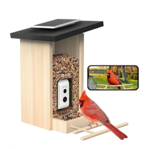 Birdfy Feeder Ebony LE - karmnik dla ptaków z kamerą
