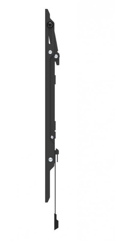 Neomounts Uchwyt ścienny WL35-550BL16  40-75 cali