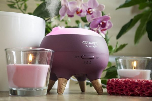 Concept Dyfuzor zapachu Concept Perfect Air Berry DF1011