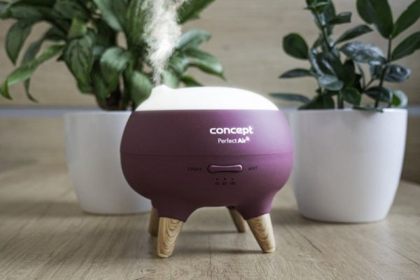 Concept Dyfuzor zapachu Concept Perfect Air Berry DF1011