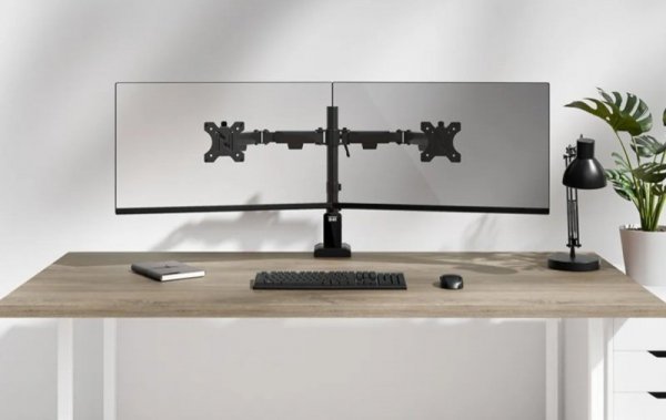 Neomounts Ramię do monitora DS60-600BL2