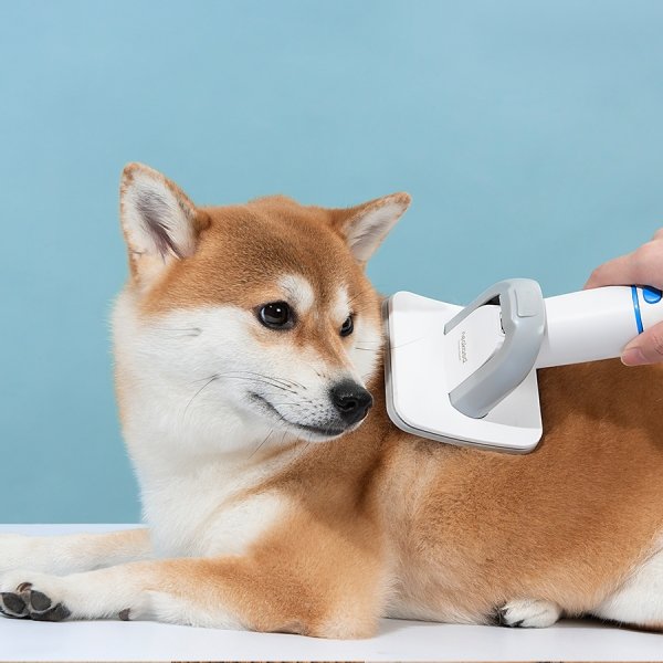 Neakasa P2 Pro - zestaw do groomingu z odkurzaczem