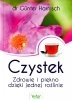 Czystek. Zdrowie i piękno dzięki jednej roślinie