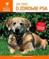 Opieka nad psem