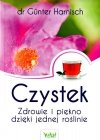 Czystek. Zdrowie i piękno dzięki jednej roślinie