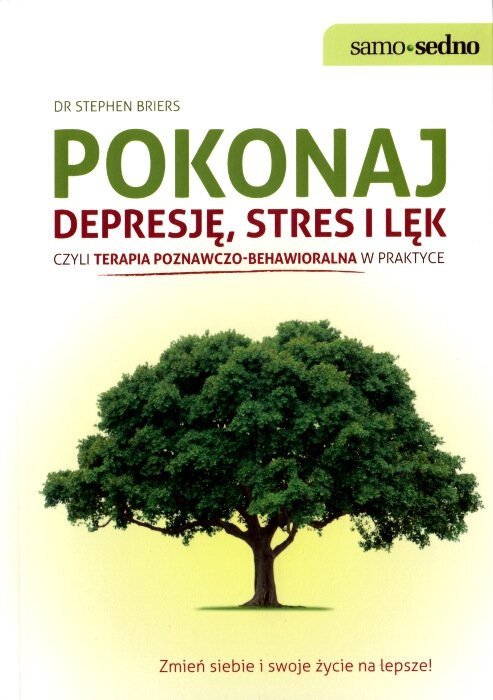 Pokonaj depresję stres i lęk