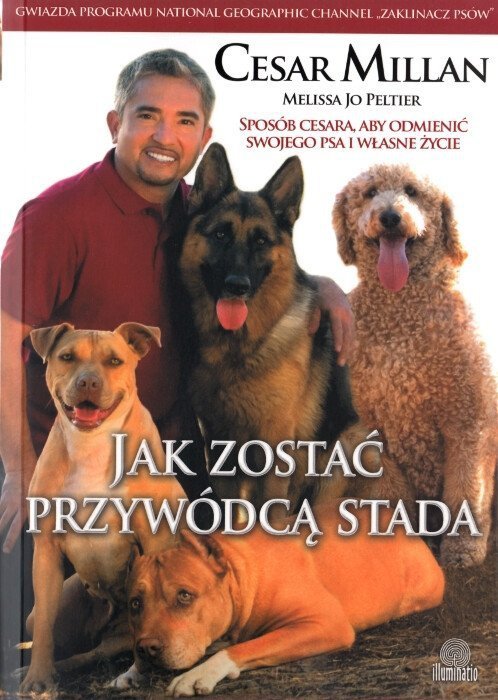 Jak zostać przywódcą stada