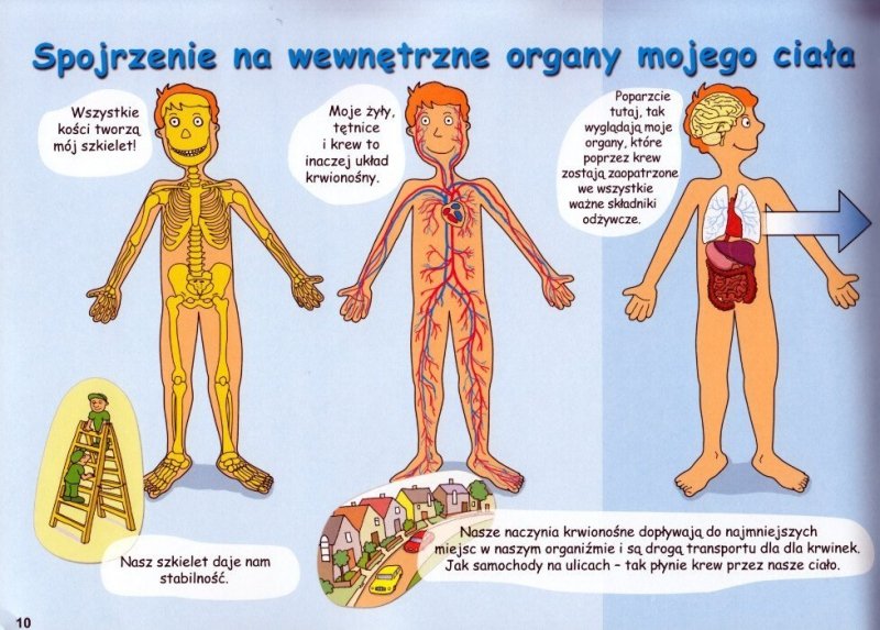 Tajemnica Komórek