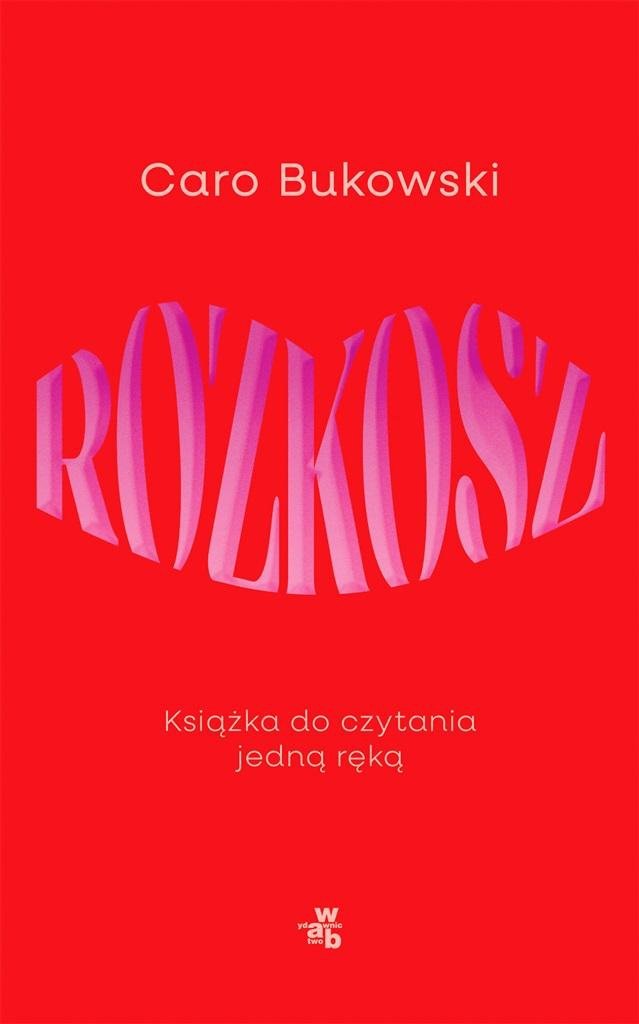 Rozkosz. Książka do czytania jedną ręką