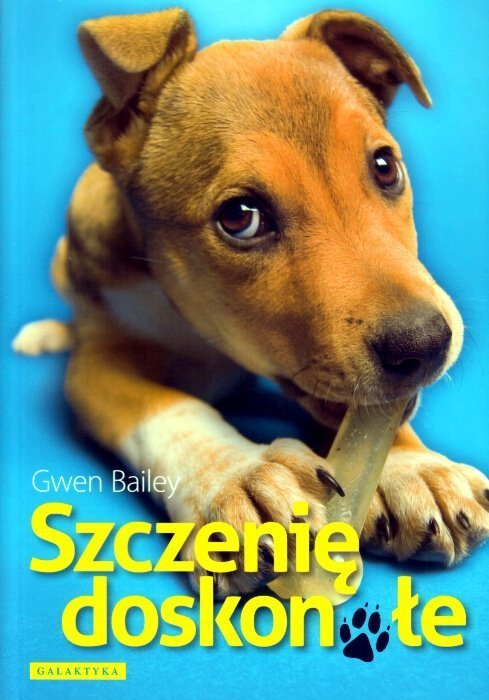 Szczenię doskonałe
