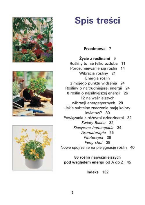 Energia roślin w domu 