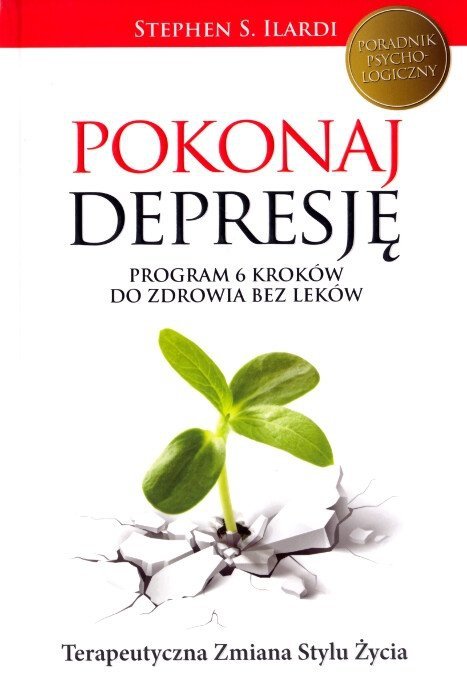 Pokonaj depresję. Program 6 kroków bez leków