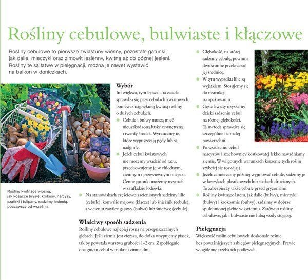 Dawna wiedza odkryta na nowo