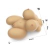 MASTURBATOR STREETGIRL'S #6