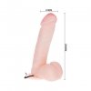 REALISTIC DILDO - DONG