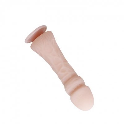 DILDO THE BIG PENIS
