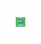 Pasante Mint Tingle Bulk (144 szt.) Pasante Mint Tingle Bulk (144 szt.)