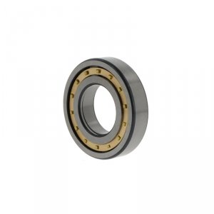 NUP208 -E-XL-M1-C3