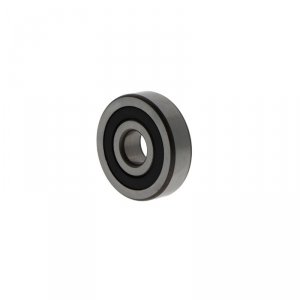 LR206 -NPP