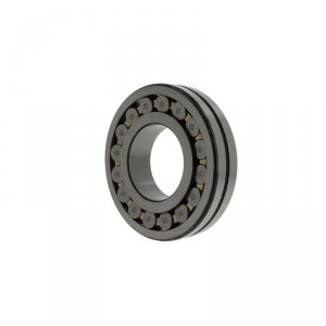 21319  CAMKE4C3S11