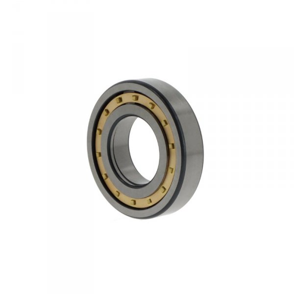 NUP2309 -E-XL-M1-C3
