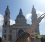 Szwajcarski scyzoryk SWIZA jak się sprawdza w podróży? Szwajcarski scyzoryk SWIZA jak się sprawdza w podróży?