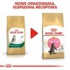 Royal Canin Maine Coon Kitten karma sucha dla kociąt, do 15 miesiąca, rasy maine coon 400g
