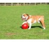 Boomer Ball XL - 10 / 25cm czerwona