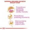 Royal Canin Maine Coon Kitten karma sucha dla kociąt, do 15 miesiąca, rasy maine coon 2kg