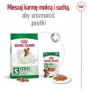 Royal Canin Mini Adult karma sucha dla psów dorosłych, ras małych 8kg