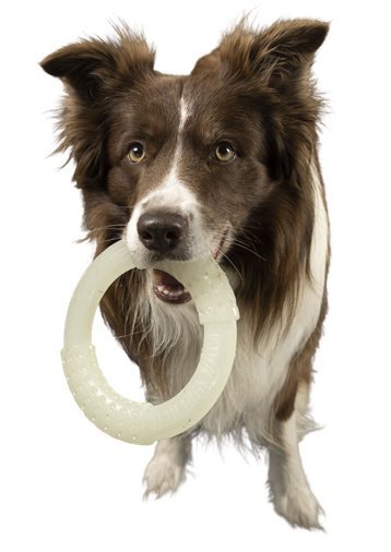 Kiwi Walker Let&#039;s Play Glow Ring Maxi