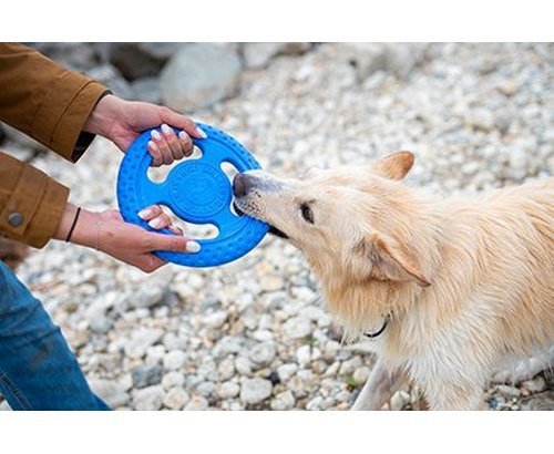 Kiwi Walker Let&#039;s Play Frisbee Maxi niebieskie
