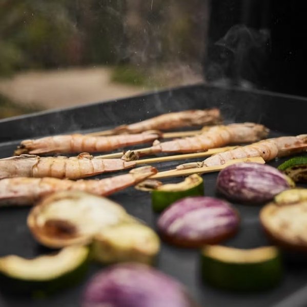 Płyta SLATE GP 43 cm Premium Weber 1501161