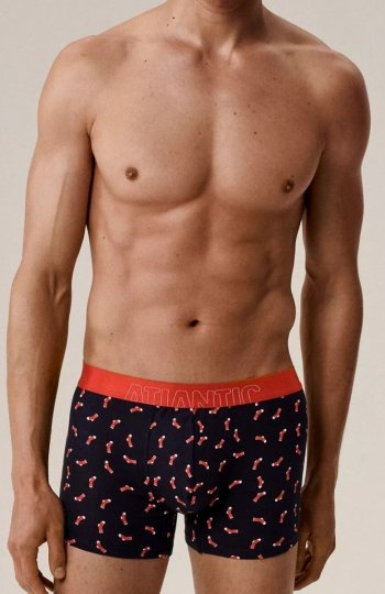 Atlantic 2GMH-027 A'2 bokserki męskie 