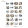 Frames für Scrapbooking TAG0324