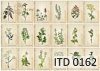 Papier für Serviettentechnik und Decoupage D0162M