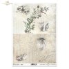 Reispapier für Serviettentechnik und Decoupage R1901