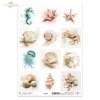 Tags, frames to scrapbooking TAG0421