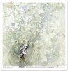 scrapbooking paper SL1387