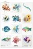 Rice paper R2851