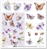 scrapbooking paper SL1361