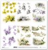 scrapbooking paper SL1310