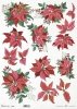 Rice paper R0972L