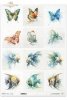 Rice paper R1691L