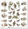 scrapbooking paper SL1419
