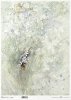 Papel de arroz decoupage A3 R1047L