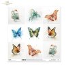 Papier do scrapbooking (HS code 48025890) SL2065