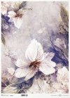 motywy roślinne, motywy kwiatowe, tło, tapeta, kolaż, rośliny, kwiaty*floral motifs, floral motifs, background, wallpaper, collage, plants, flowers*blumenmotive, blumenmotive, hintergrund, wallpaper, collage, pflanzen, blumen*motivos florales, motivos flo