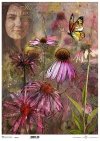 twarz kobiety, rośliny, echinacea, jeżówka*female face, plants, Echinacea, coneflower*weibliches Gesicht, Pflanzen, Echinacea, Sonnenhut*rostro femenino, plantas, Echinacea, coneflower
