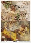 jesienne widoczki, rośliny, winobluszcz, liście dębu, żołędzie, jesień*autumn views, plants, grapevine, oak leaves, acorns, autumn*Herbstansichten, Pflanzen, Weinrebe, Eichenblätter, Eicheln, Herbst*vistas de otoño, plantas, vid, hojas de roble, bellotas,